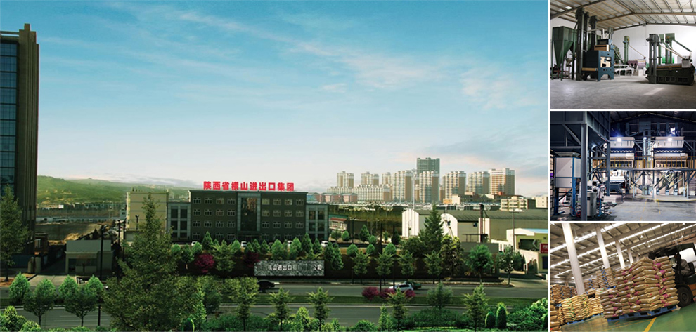 01企業(yè)簡(jiǎn)介.jpg